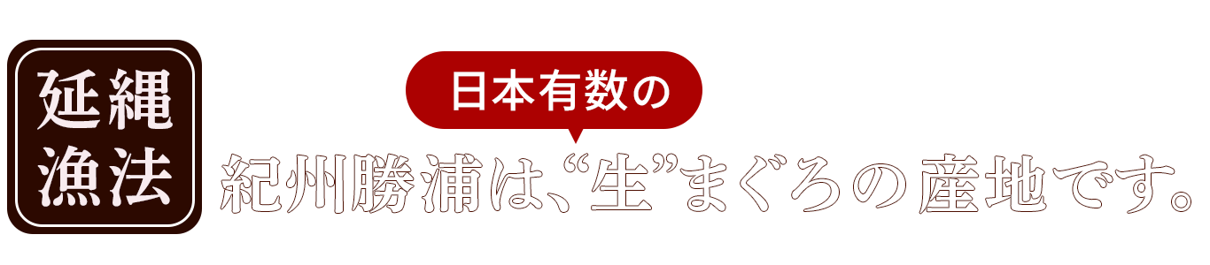 紀州勝浦まぐろの産地